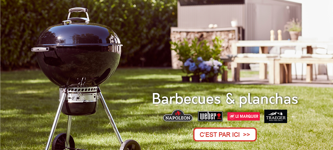 Barbecues & planchas